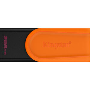 Memorias USB Kingston Technology DTXS/256GB