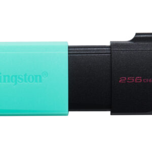 Kingston Technology DataTraveler 256GB USB3.2 Gen1 Exodia M (Negro + Turquesa)