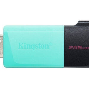 Kingston Technology DataTraveler 256GB USB3.2 Gen1 Exodia M (Negro + Turquesa)