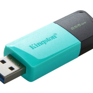 Kingston Technology DataTraveler 256GB USB3.2 Gen1 Exodia M (Negro + Turquesa)